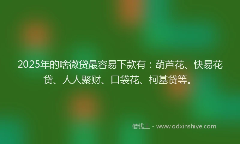 2025年的啥微贷最容易下款有：葫芦花、快易花贷、人人聚财、口袋花、柯基贷等。