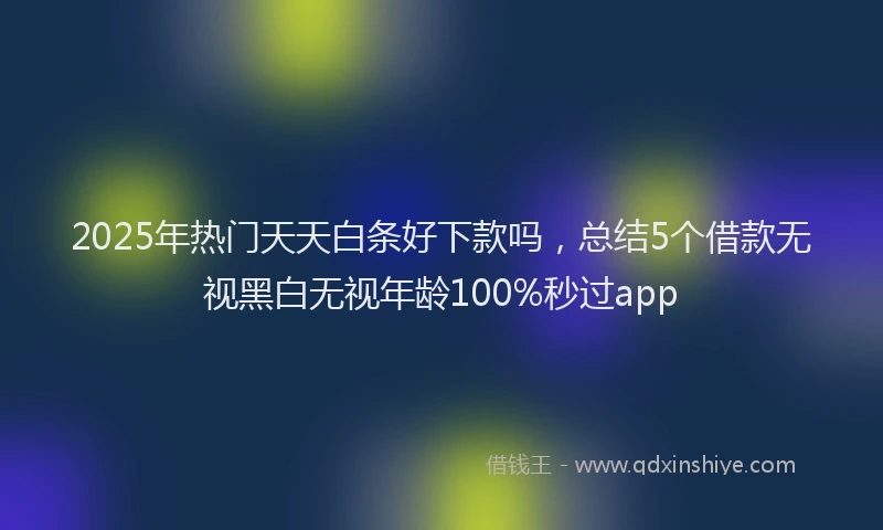 2025年热门天天白条好下款吗，总结5个借款无视黑白无视年龄100%秒过app