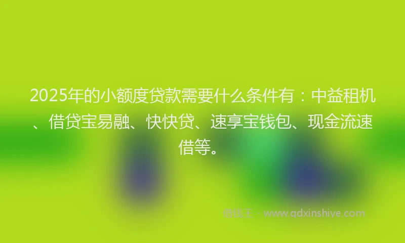 2025年的小额度贷款需要什么条件有：中益租机、借贷宝易融、快快贷、速享宝钱包、现金流速借等。