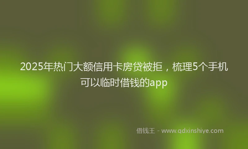 2025年热门大额信用卡房贷被拒，梳理5个手机可以临时借钱的app