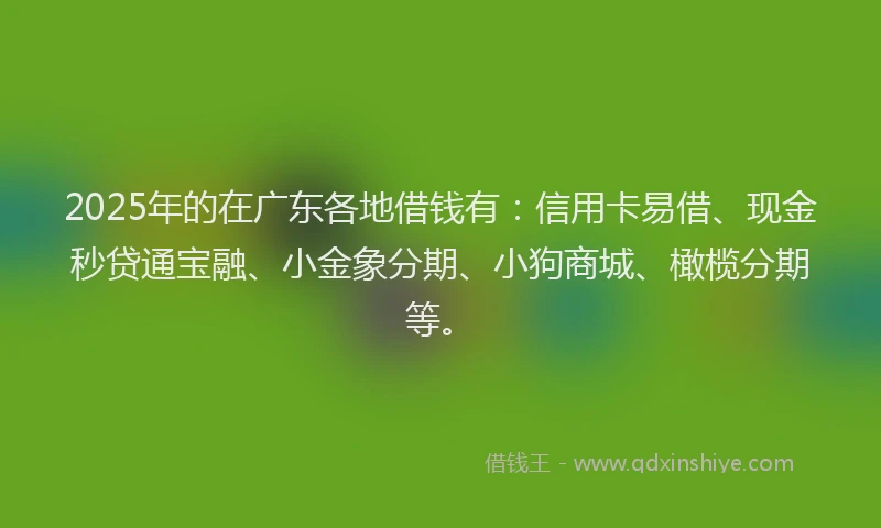 2025年的在广东各地借钱有：信用卡易借、现金秒贷通宝融、小金象分期、小狗商城、橄榄分期等。