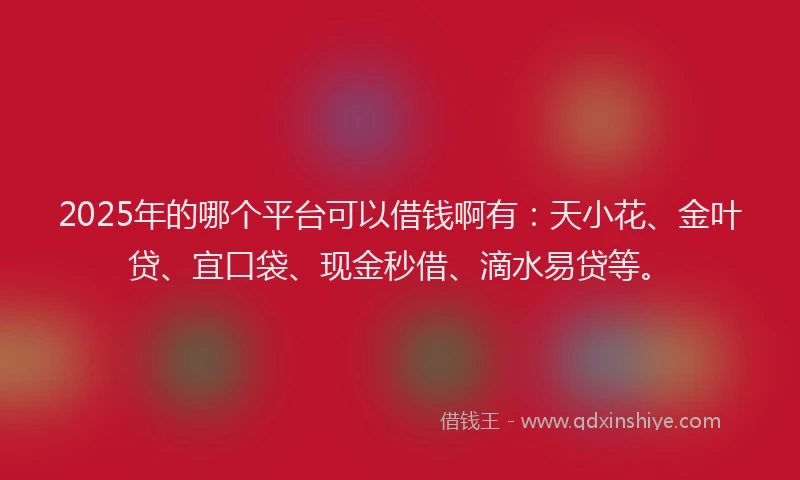 2025年的哪个平台可以借钱啊有：天小花、金叶贷、宜口袋、现金秒借、滴水易贷等。
