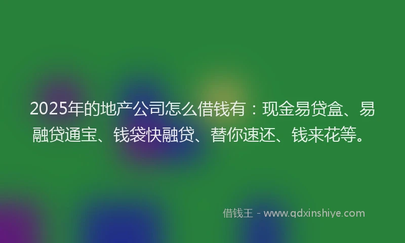 2025年的地产公司怎么借钱有：现金易贷盒、易融贷通宝、钱袋快融贷、替你速还、钱来花等。