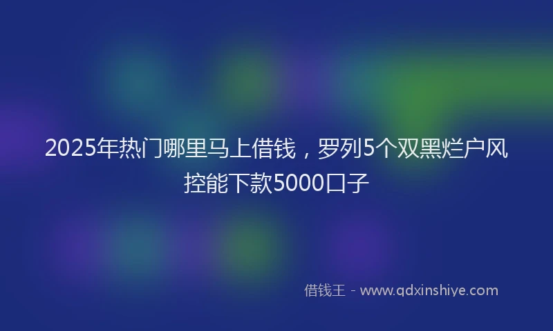 2025年热门哪里马上借钱，罗列5个双黑烂户风控能下款5000口子