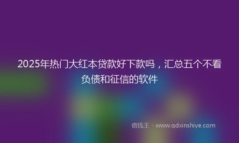 2025年热门大红本贷款好下款吗，汇总五个不看负债和征信的软件
