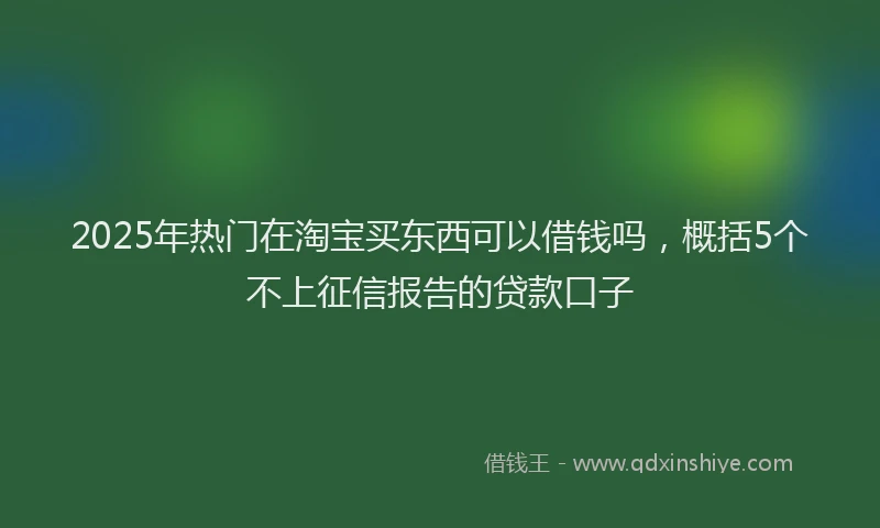 2025年热门在淘宝买东西可以借钱吗，概括5个不上征信报告的贷款口子