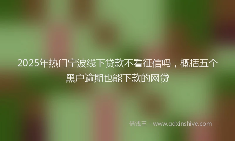 2025年热门宁波线下贷款不看征信吗，概括五个黑户逾期也能下款的网贷
