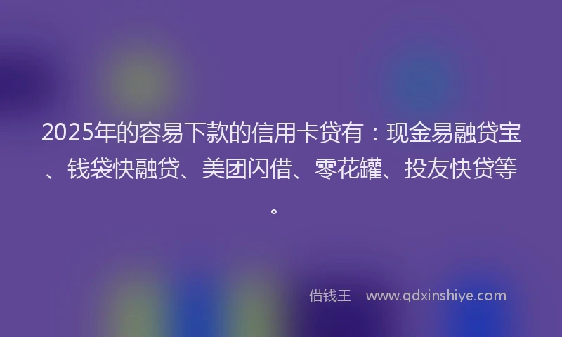 2025年的容易下款的信用卡贷有：现金易融贷宝、钱袋快融贷、美团闪借、零花罐、投友快贷等。