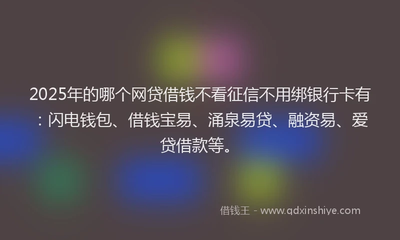 2025年的哪个网贷借钱不看征信不用绑银行卡有：闪电钱包、借钱宝易、涌泉易贷、融资易、爱贷借款等。