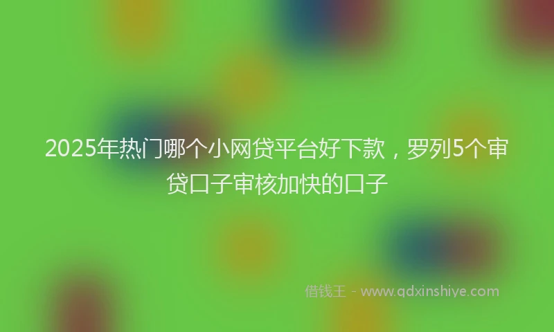 2025年热门哪个小网贷平台好下款，罗列5个审贷口子审核加快的口子