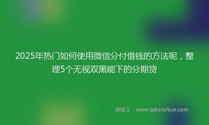 2025年热门如何使用微信分付借钱的方法呢，整理5个无视双黑能下的分期贷