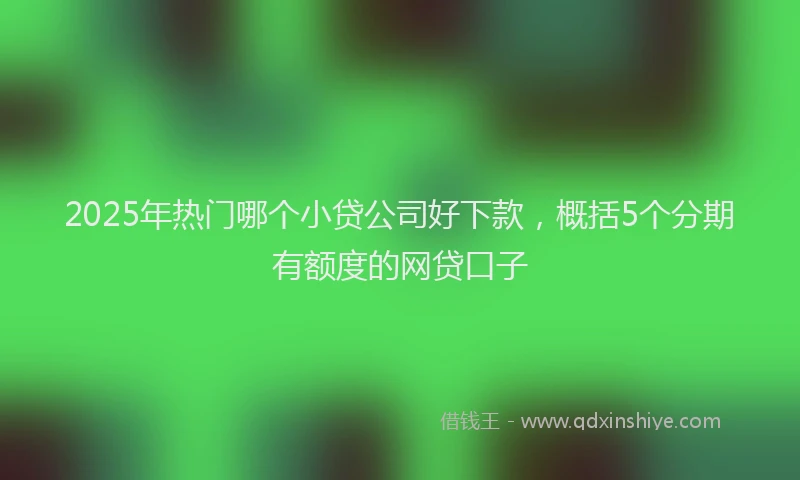 2025年热门哪个小贷公司好下款，概括5个分期有额度的网贷口子