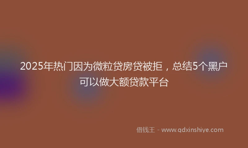 2025年热门因为微粒贷房贷被拒，总结5个黑户可以做大额贷款平台