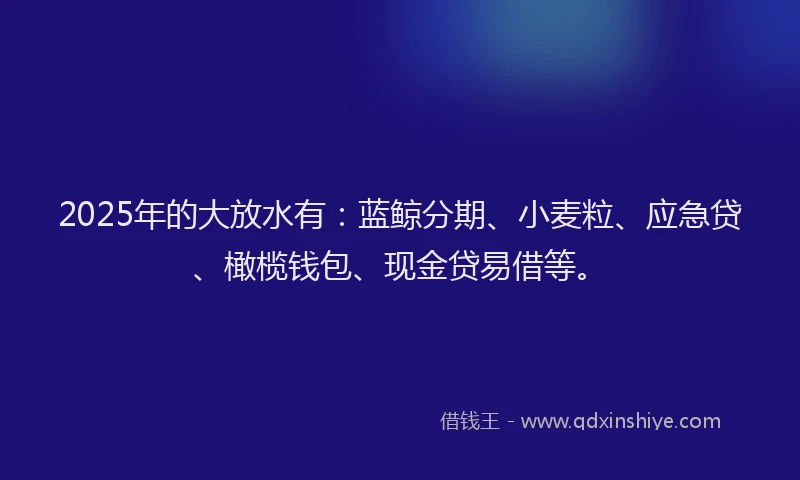2025年的大放水有：蓝鲸分期、小麦粒、应急贷、橄榄钱包、现金贷易借等。