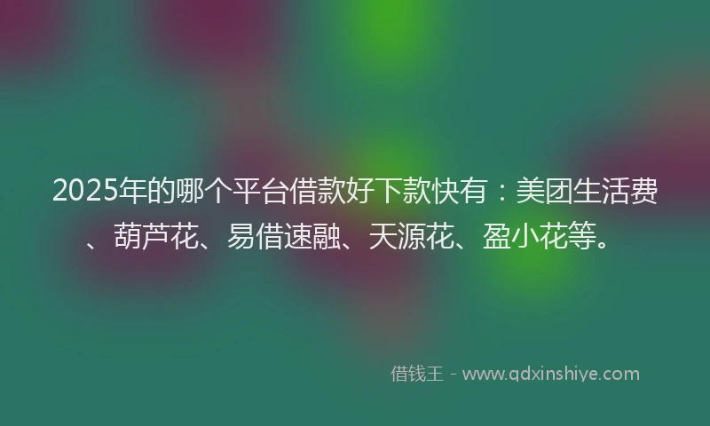 2025年的哪个平台借款好下款快有：美团生活费、葫芦花、易借速融、天源花、盈小花等。