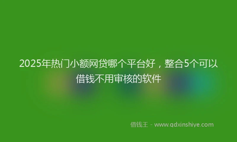 2025年热门小额网贷哪个平台好，整合5个可以借钱不用审核的软件