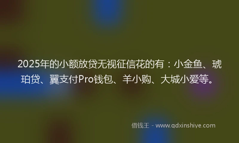 2025年的小额放贷无视征信花的有：小金鱼、琥珀贷、翼支付Pro钱包、羊小购、大城小爱等。