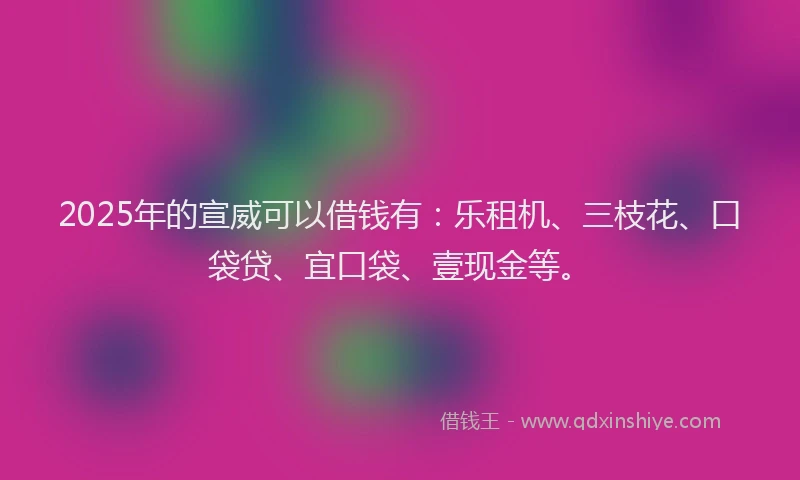 2025年的宣威可以借钱有：乐租机、三枝花、口袋贷、宜口袋、壹现金等。
