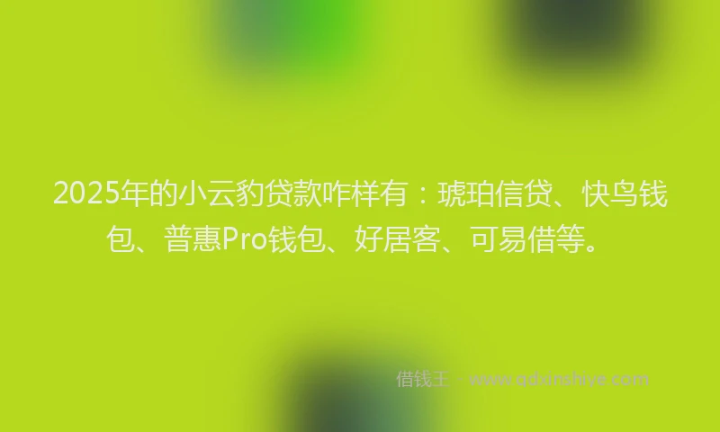 2025年的小云豹贷款咋样有：琥珀信贷、快鸟钱包、普惠Pro钱包、好居客、可易借等。