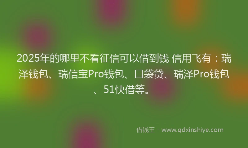 2025年的哪里不看征信可以借到钱 信用飞有：瑞泽钱包、瑞信宝Pro钱包、口袋贷、瑞泽Pro钱包、51快借等。