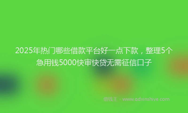 2025年热门哪些借款平台好一点下款，整理5个急用钱5000快审快贷无需征信口子