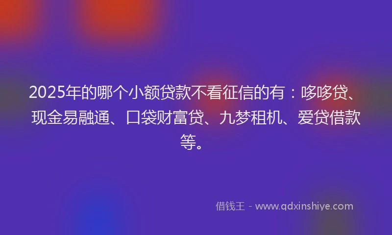 2025年的哪个小额贷款不看征信的有：哆哆贷、现金易融通、口袋财富贷、九梦租机、爱贷借款等。