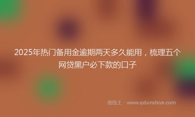 2025年热门备用金逾期两天多久能用，梳理五个网贷黑户必下款的口子