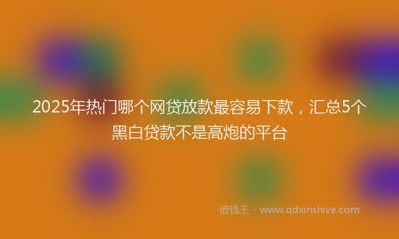 2025年热门哪个网贷放款最容易下款，汇总5个黑白贷款不是高炮的平台