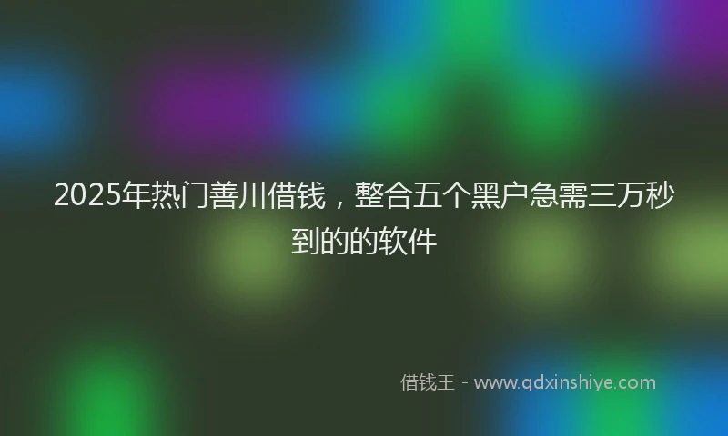2025年热门善川借钱，整合五个黑户急需三万秒到的的软件