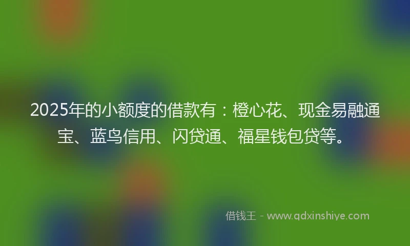 2025年的小额度的借款有：橙心花、现金易融通宝、蓝鸟信用、闪贷通、福星钱包贷等。
