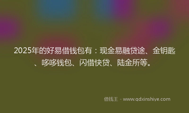 2025年的好易借钱包有：现金易融贷途、金钥匙、哆哆钱包、闪借快贷、陆金所等。