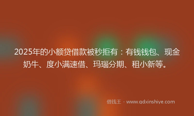 2025年的小额贷借款被秒拒有：有钱钱包、现金奶牛、度小满速借、玛瑙分期、租小新等。