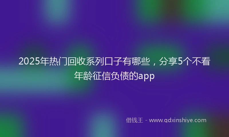 2025年热门回收系列口子有哪些，分享5个不看年龄征信负债的app