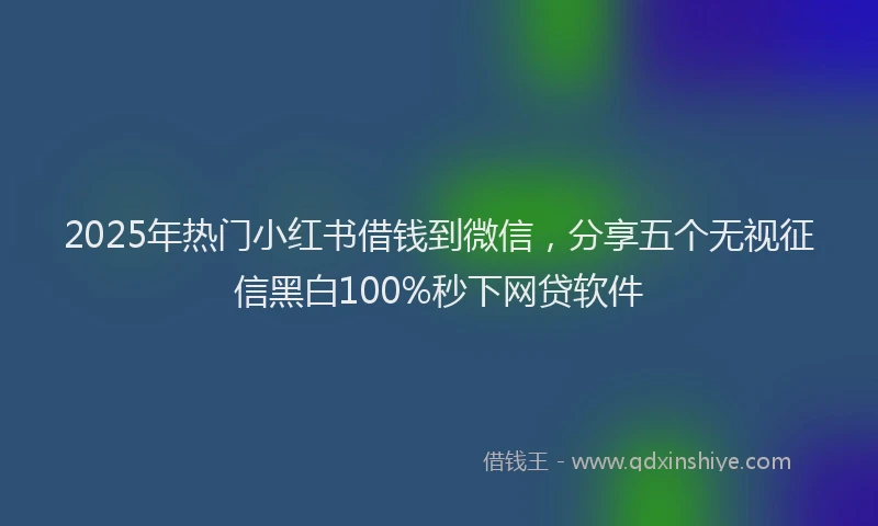 2025年热门小红书借钱到微信，分享五个无视征信黑白100%秒下网贷软件