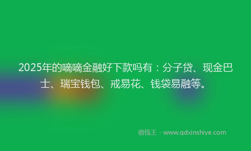 2025年的嘀嘀金融好下款吗有：分子贷、现金巴士、瑞宝钱包、戒易花、钱袋易融等。