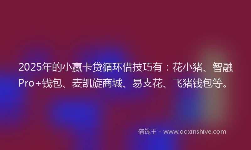 2025年的小赢卡贷循环借技巧有:花小猪、智融Pro+钱包、麦凯旋商城、易支花、飞猪钱包等。