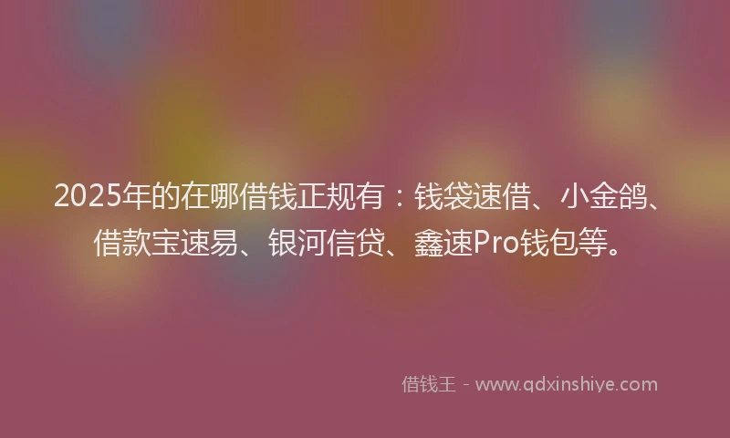 2025年的在哪借钱正规有：钱袋速借、小金鸽、借款宝速易、银河信贷、鑫速Pro钱包等。