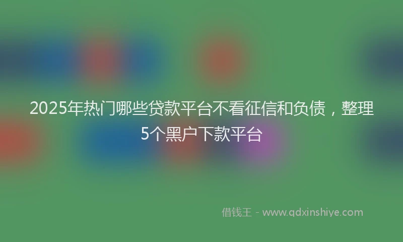 2025年热门哪些贷款平台不看征信和负债，整理5个黑户下款平台