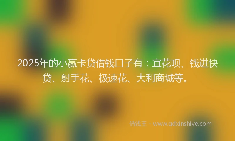 2025年的小赢卡贷借钱口子有：宜花呗、钱进快贷、射手花、极速花、大利商城等。