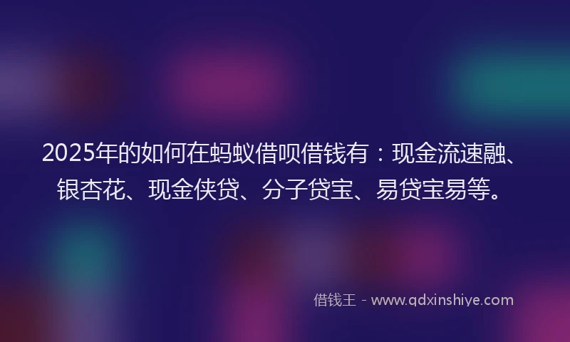 2025年的如何在蚂蚁借呗借钱有：现金流速融、银杏花、现金侠贷、分子贷宝、易贷宝易等。