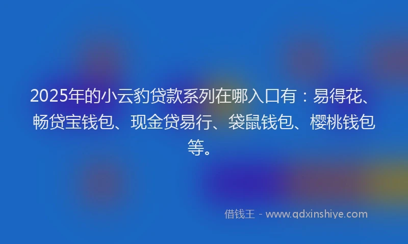 2025年的小云豹贷款系列在哪入口有：易得花、畅贷宝钱包、现金贷易行、袋鼠钱包、樱桃钱包等。