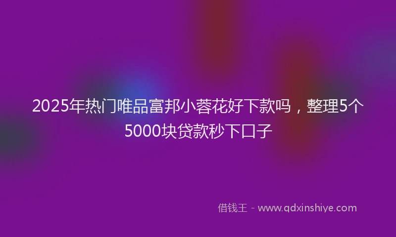 2025年热门唯品富邦小蓉花好下款吗，整理5个5000块贷款秒下口子