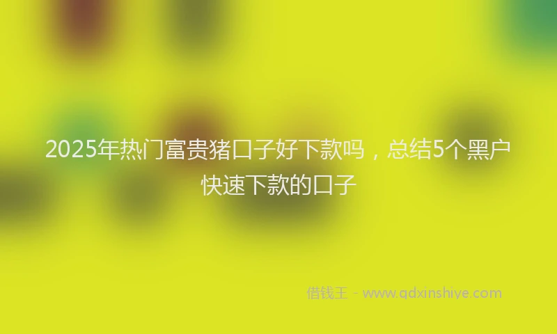 2025年热门富贵猪口子好下款吗,总结5个黑户快速下款的口子