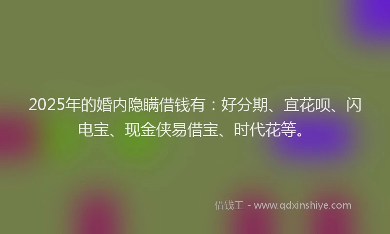 2025年的婚内隐瞒借钱有：好分期、宜花呗、闪电宝、现金侠易借宝、时代花等。
