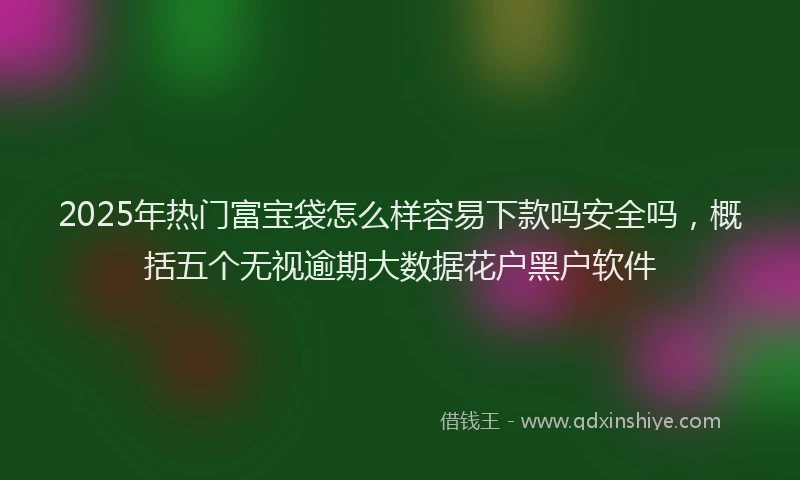 2025年热门富宝袋怎么样容易下款吗安全吗，概括五个无视逾期大数据花户黑户软件