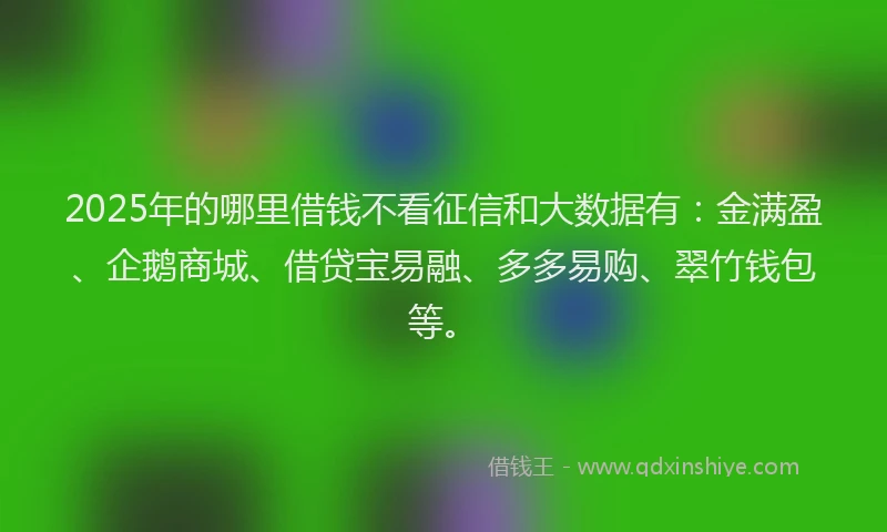 2025年的哪里借钱不看征信和大数据有：金满盈、企鹅商城、借贷宝易融、多多易购、翠竹钱包等。