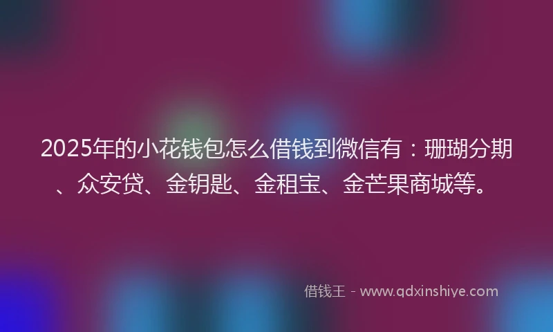 2025年的小花钱包怎么借钱到微信有：珊瑚分期、众安贷、金钥匙、金租宝、金芒果商城等。