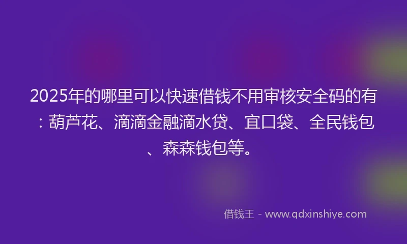 2025年的哪里可以快速借钱不用审核安全码的有：葫芦花、滴滴金融滴水贷、宜口袋、全民钱包、森森钱包等。