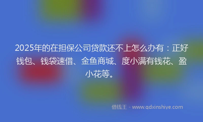 2025年的在担保公司贷款还不上怎么办有：正好钱包、钱袋速借、金鱼商城、度小满有钱花、盈小花等。