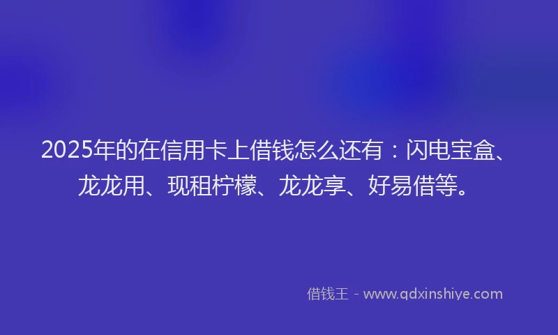 2025年的在信用卡上借钱怎么还有：闪电宝盒、龙龙用、现租柠檬、龙龙享、好易借等。